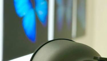 GroveO6 10 minutes from the Beach - Foto 3