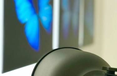 GroveO6 10 minutes from the Beach - Foto 3