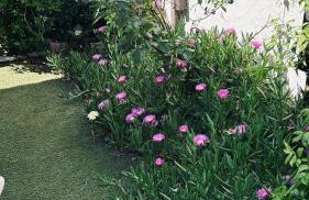 Studio refait à neuf avec jardin Aigues Mortes - Foto 14