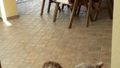 La Graziosa Dépendance - Photo 5