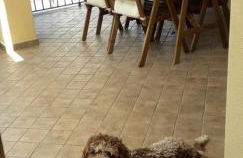 La Graziosa Dépendance - Photo 5