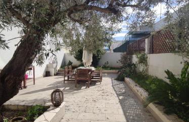 L'OLIVO - San GREGORIO - Foto 4