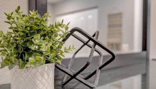 Adventure Awaits in Tampa Bay with Beautiful Decor 4BR with Backyard Oasis Near Busch Gardens & Adventure Island - Foto 3