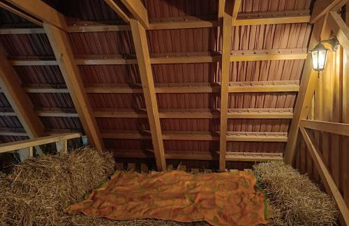 Azyl nad Nidą - Foto 49