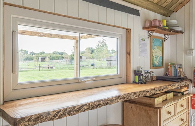 Dartmoor Reach Alpaca Farm - Foto 22