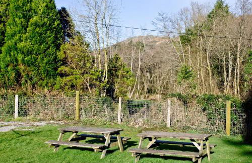 Chinkwell-Uk12425 - Foto 13