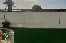 Olivar de Gines a un paso de Sevilla - Foto 3