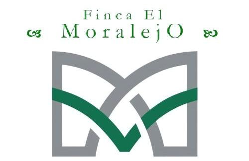 Rural cottage VINCENT van Gogh, with spectacular pool & OPTIONAL private 6 guests jacuzzi - Foto 57