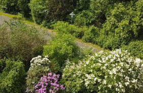 Appartementwohnung Antonia - Foto 31