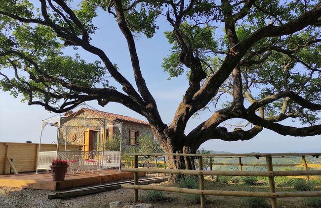 New Tuscan Villa With Pool - Foto 35