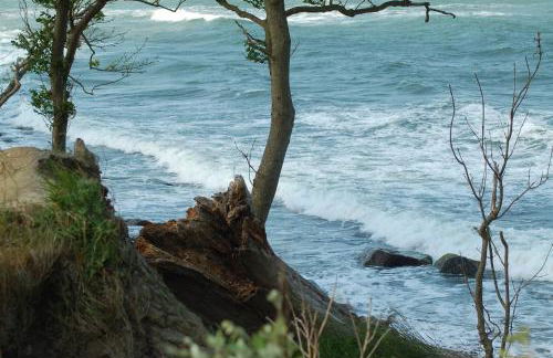 Ferienbauernhof Liesenberg Meerblickhaus Strandmuschel - Foto 45
