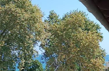 Niki Apartments Beach Loft - Foto 20