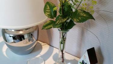 Ferienwohnung Schwalbennest - Foto 5