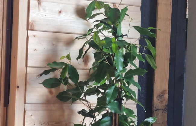 Angela's Hideaway - 2 Beds - Hot Tub - Sauna - Foto 34