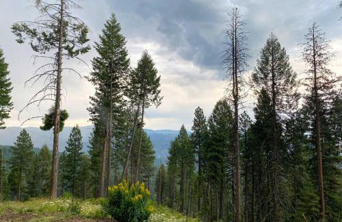 Peaceful Garden Valley Cabin with Private Deck! - Foto 33