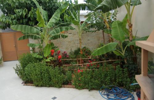 Villa Cardia - Photo 20