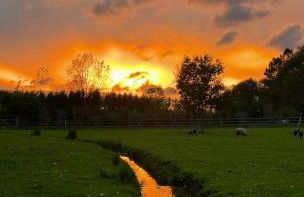 Vale da Silva Villas - Quinta - Foto 24