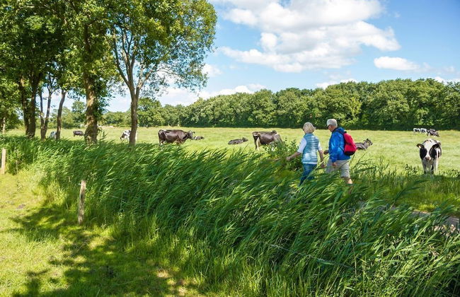 Hafen Apartments - Foto 21