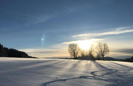 Steigerhaus Sauerland - Foto 10