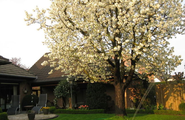 Holiday Home Haus Mewa - Foto 18