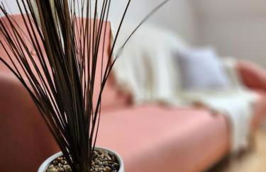 Gîte Animals King'Dôme 8min du Zoo de Beauval - Foto 10