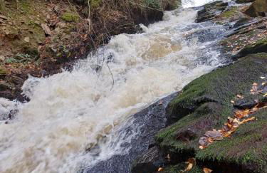 the tillys cottages - Foto 29