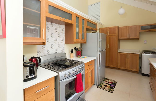 Ocho Rios Villa at Coolshade III - Photo 19