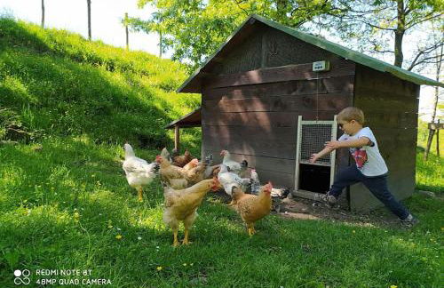 Terra Del Bosco Agriturismo - Foto 20