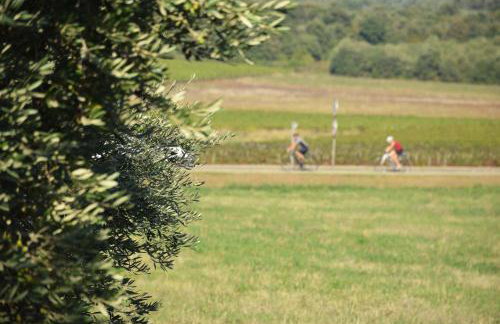 Silos Holiday - Photo 40