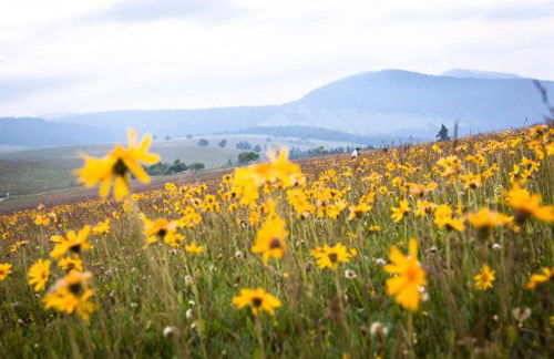 Charmant logis Gérardmer - Photo 35