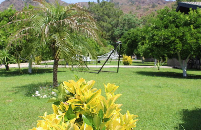 Cirali Villas Hotel Pansiyon - Foto 44