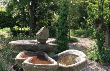 Am Kräutergarten - Foto 10