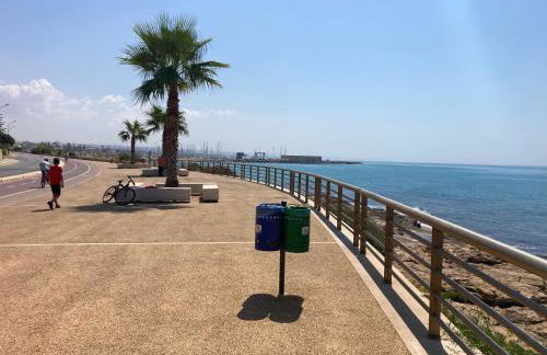 Sole a vista - Foto 18