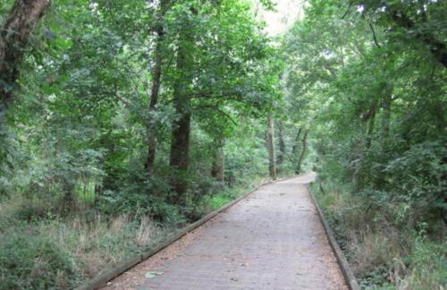 Cozy 2 Bedroom Pineville-Matthews Duplex Sleeps 8 - Foto 5