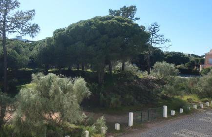 Casa Bambu, Paraiso na Terra - Foto 38