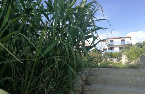 Apartments Eugen - Foto 40