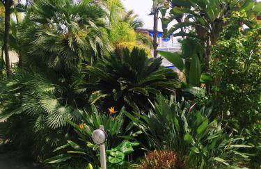 Pergolato junior - Foto 25