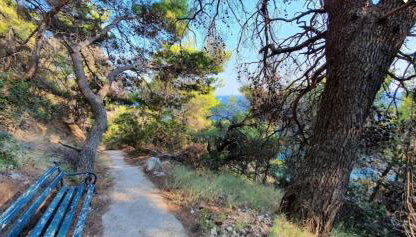 Captain Branko - Photo 2