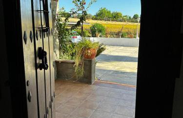 La chumbera - Foto 21