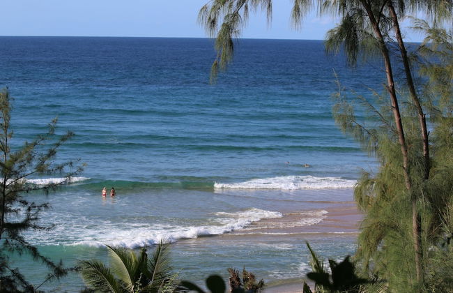 Casa Algodoal - Photo 48