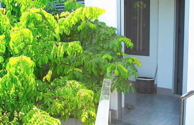 Amazing 3 br Best House Homestay - PT - Foto 13