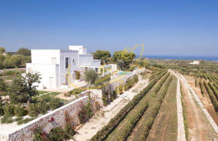 TD Tenuta Donna Madia Sea View Pool Over Vineyard - Foto 4