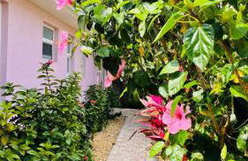 Casa Flamingo - Foto 21