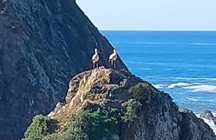 Villa Atlantico - Foto 41