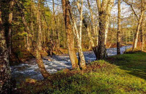 MapleCastle == HotTub, RiverSide, IndoorHummock, FirePlace, BackYard - Foto 68