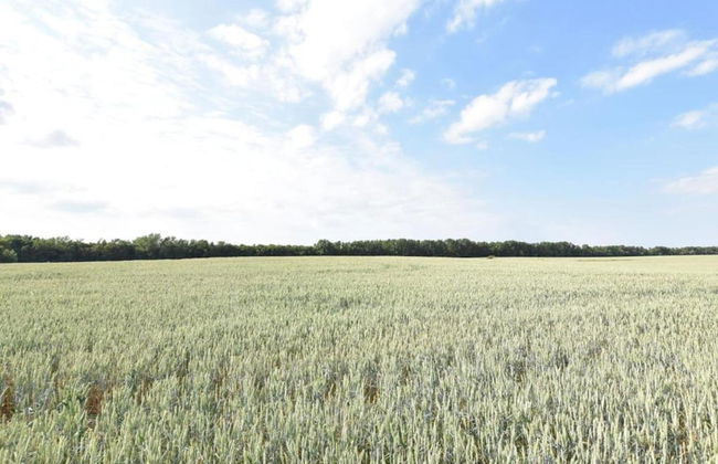 Holiday Home With Terrace in Damshagen - Foto 35