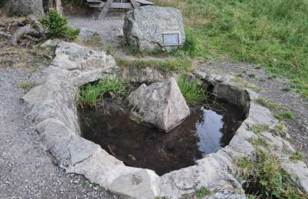 Ferienwohnung BUTTERBLUME, Feldberg - Haus Wiesenquelle - Foto 48