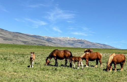 Masía Cal Kenyon - Foto 31