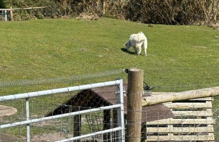 Poachers Hut 1-Bed Cottage Sleeps 2 Pet Friendly - Foto 11