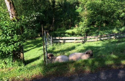 Waldbauernhof - Foto 42